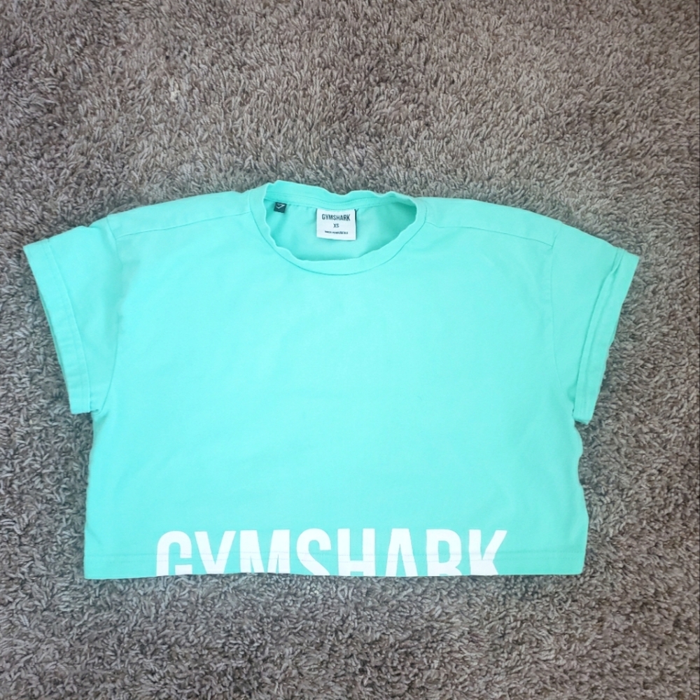 Gymshark Mint Fraction Crop Top XS
